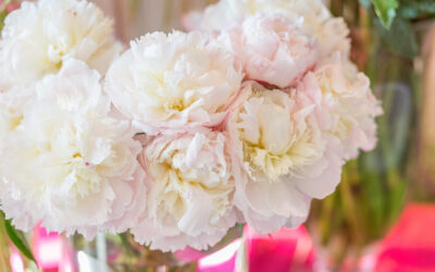 A 5 Step Guide on How You Can Integrate Flowers Into Your Self Care Routine