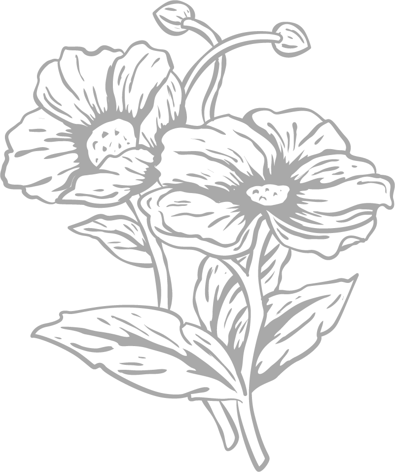 dct-et-illus-img-1